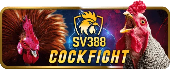 Cá cược có trách nhiệm qh888 win